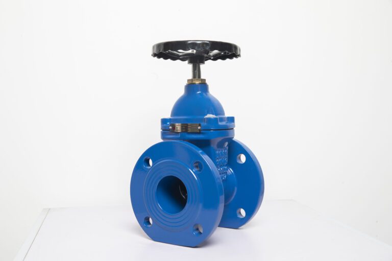 Gate valve