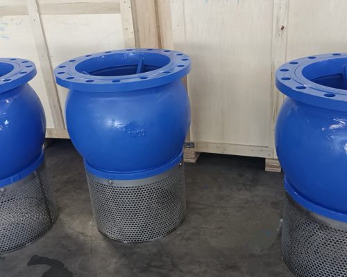 Foot Valves