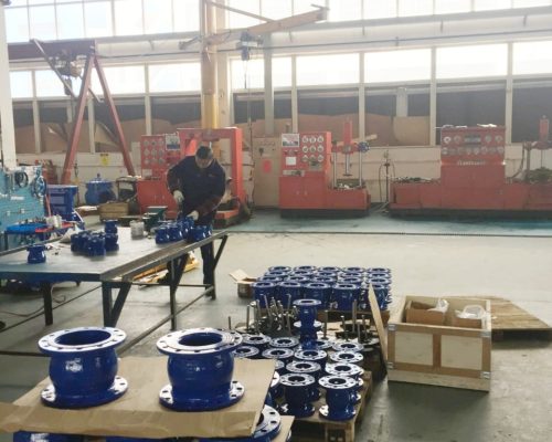 Axial Silent check Valves